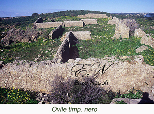 Ovile timp. nero 1