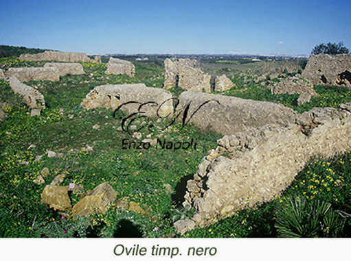 Ovile timp. nero 2