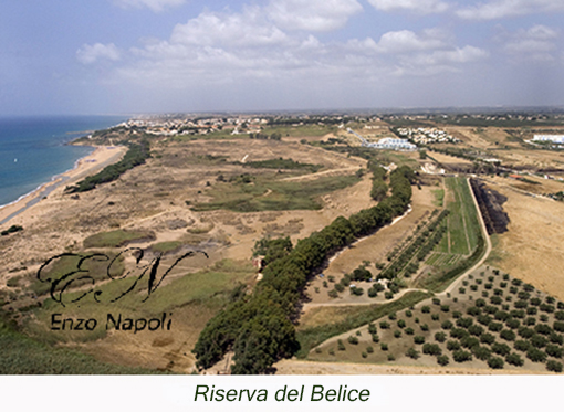 Riserva del Belice